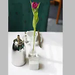 Hotel Andi Stadthotel 3*